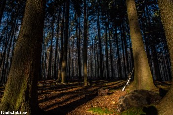 Jägarexamen er väg till härliga naturliga känslan att vistas i modernatur