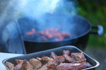 Ät vilt kött som fått leva & är naturligt